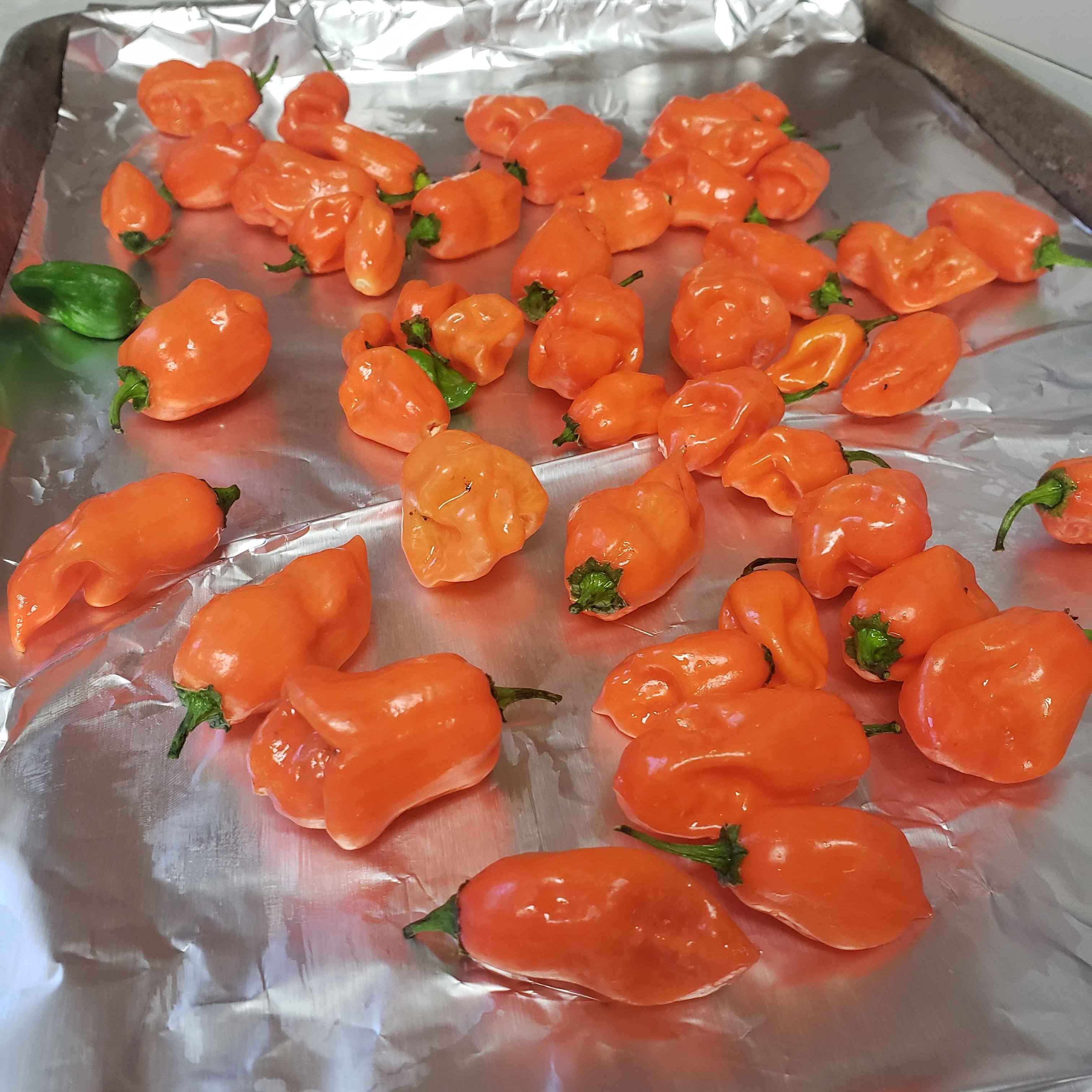 Habaneros